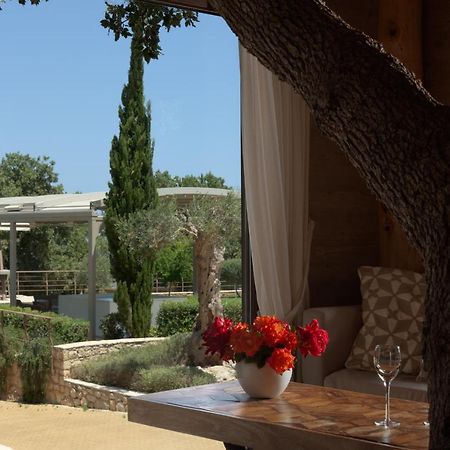 Stolidi Mou Treehouse Villa Atsipopoulo Exteriör bild